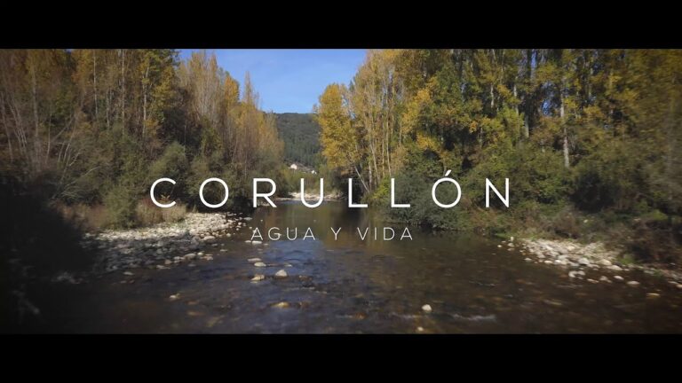 Guía para encontrar mercados ecológicos en Villafranca del Bierzo