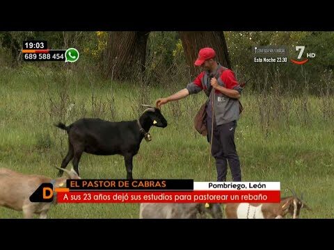 Zonas WiFi en Cacabelos: Dónde Encontrarlas