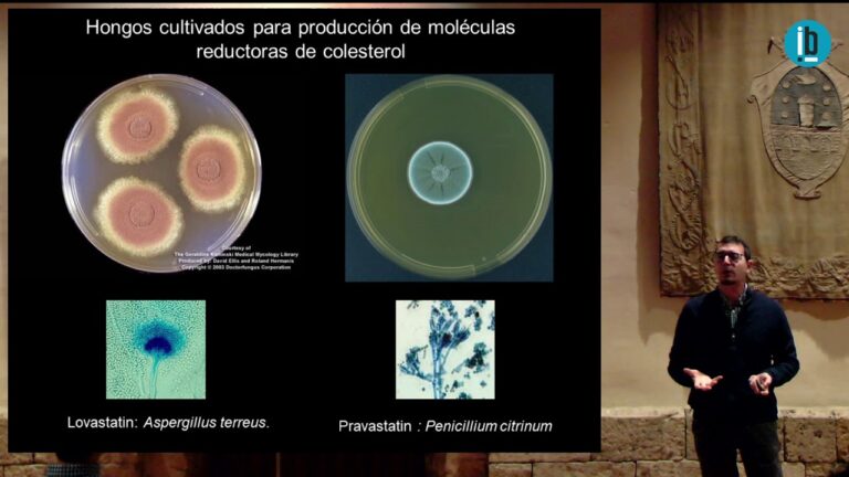 Guía para Inscribirse en el Sistema de Salud en Fabero