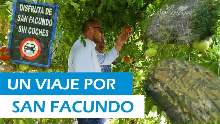 Mejores Rutas para Caminatas Urbanas en Torre del Bierzo