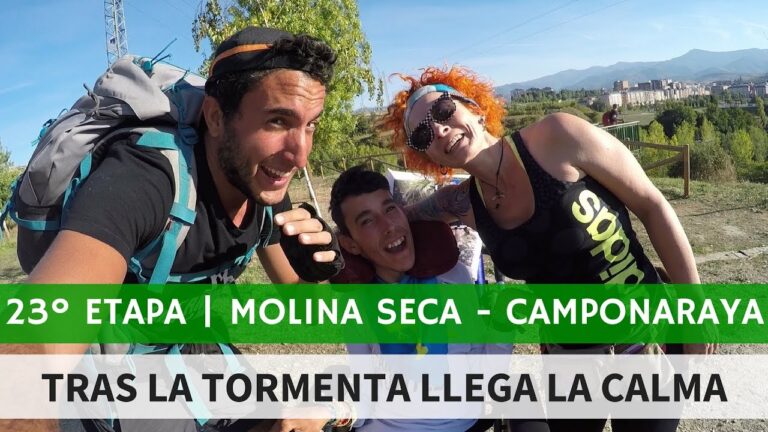 Asistencia social en Camponaraya: Opciones y Recursos Disponibles
