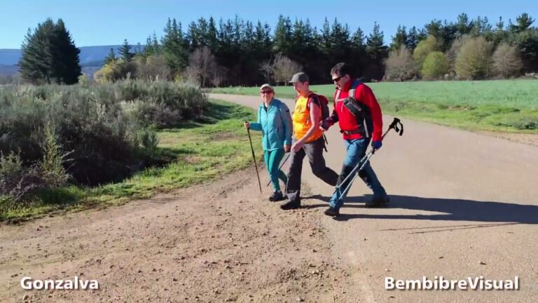 Mejores lugares para alquilar bicicletas en Bembibre